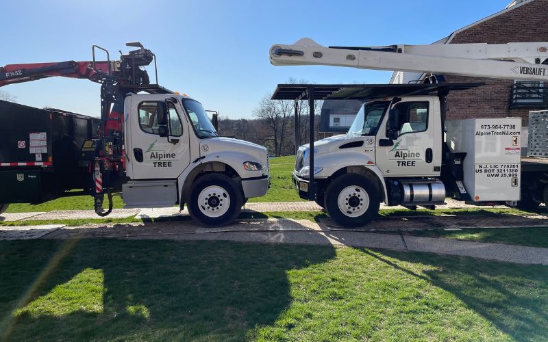 Alpine Tree's trucks at work.