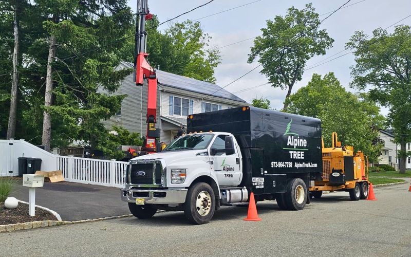 Alpine-Montclair-LSP-Montclair-section-image-truck-crane-chipper