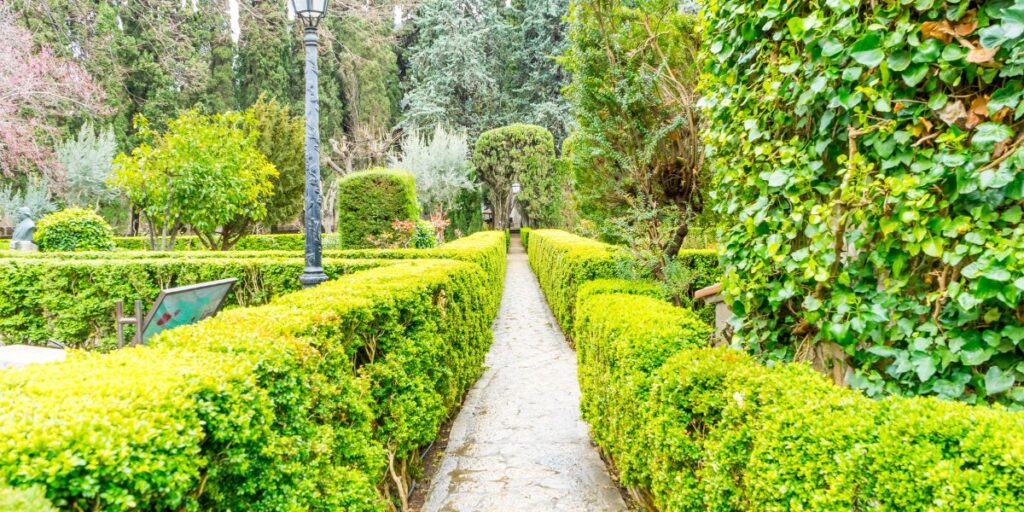 Boxwood shrubs, a popular landscape detail in New Jersey