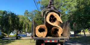 An Alpine Tree truck carrying three large logs away from a tree removal in Morristown, NJ.