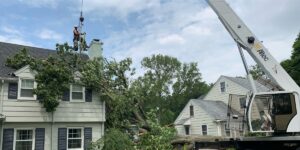The Alpine Tree team using a crane to remove a tree after a storm in Montclair, NJ.