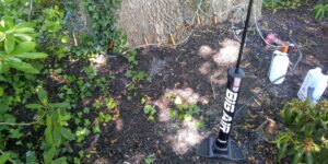 The Alpine Tree team’s injection equipment sitting by an ash tree in Mendham, NJ.