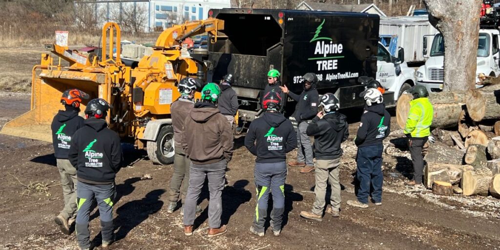 A team meeting of Alpine Tree staff covering safety when using a chipper.