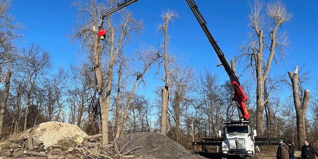 Alpine Tree Service uses a Tree-Mek robotic crane to remove trees on a New Jersey property.