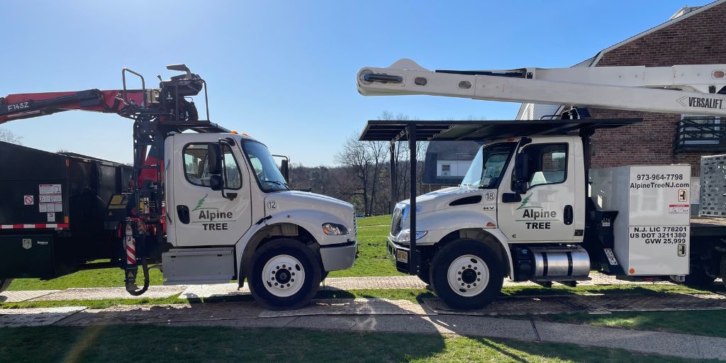 Alpine Tree Service trucks parked on a property in New Jersey.