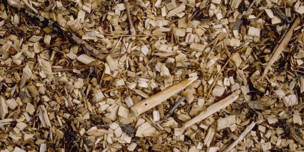 A close up photo of woodchips.