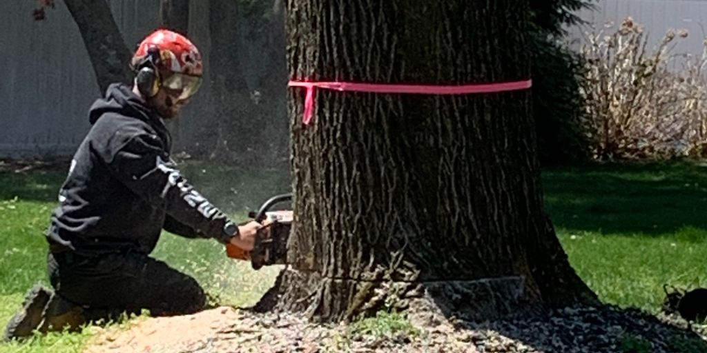 A member of the Alpine Tree team cutting a tree with the help of a crane in Chatham, NJ.