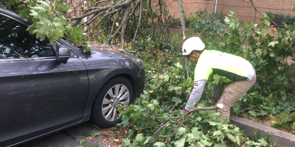 A tree service worker from Alpine Tree in safety gear cleaning fallen branches from damaged car after a Morris County storm.