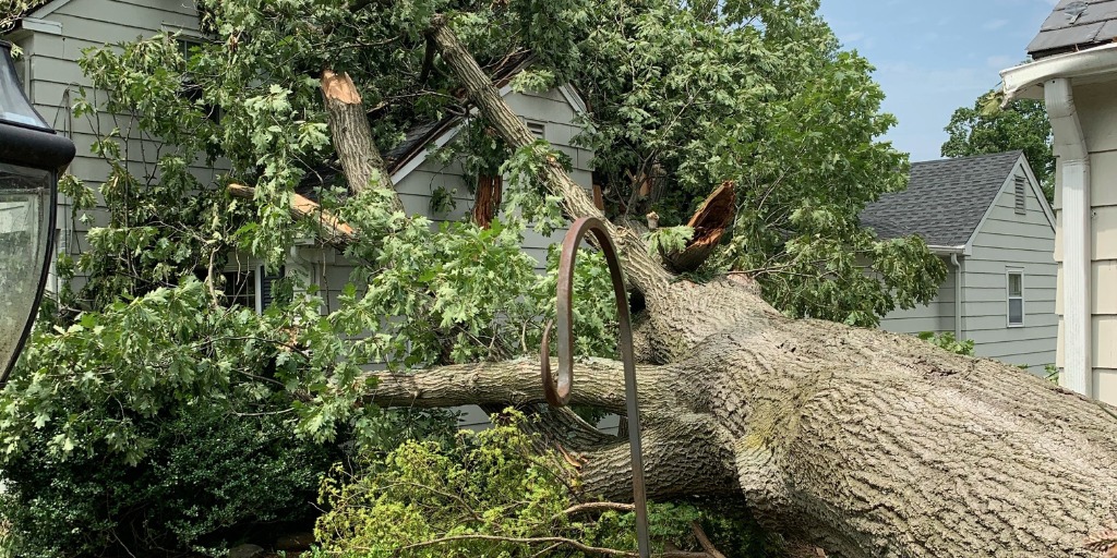 A tree that has fallen on a house after a storm in Morristown, NJ.