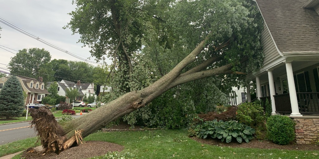 An uprooted tree leaning against a house in Summit, NJ.