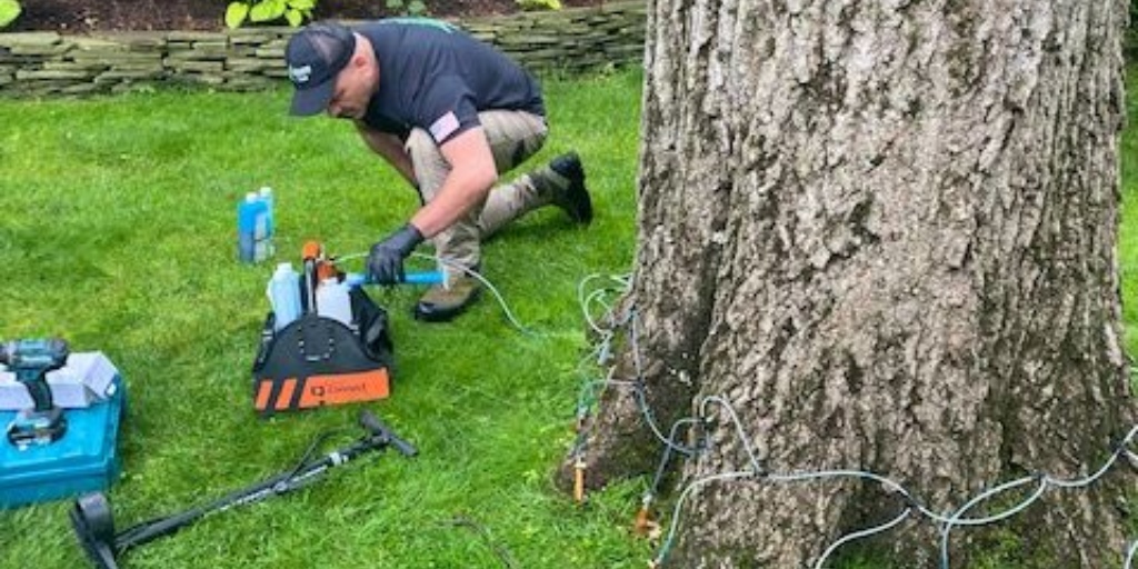 A person in work clothes kneels beside a large tree trunk while operating equipment with tubes leading to the tree.
