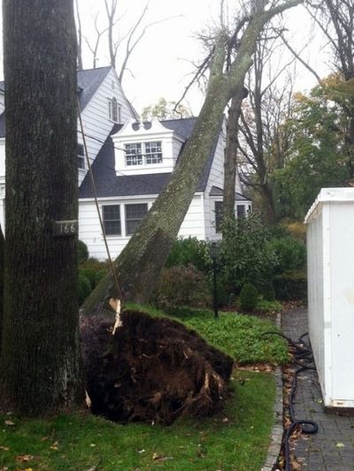 A tree in New Jersey leans dangerously close to a home