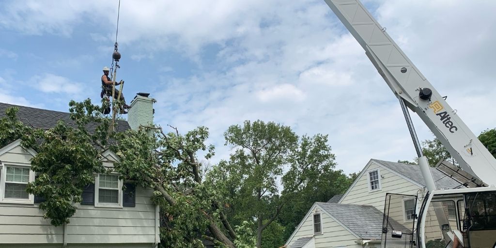 The Alpine Tree crew works to remove a fallen tree from a house's roof after a storm.