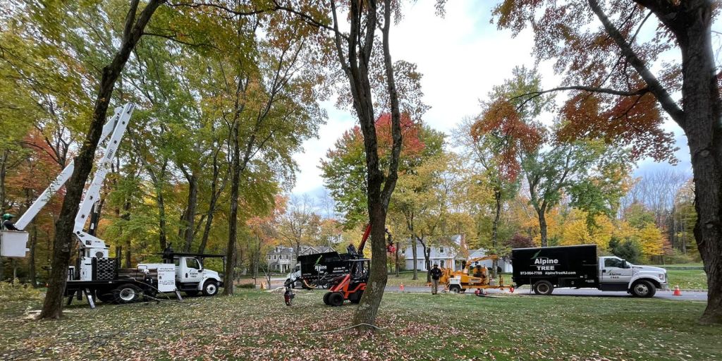 Alpine Tree's tree removal equipment in use on a New Jersey property.