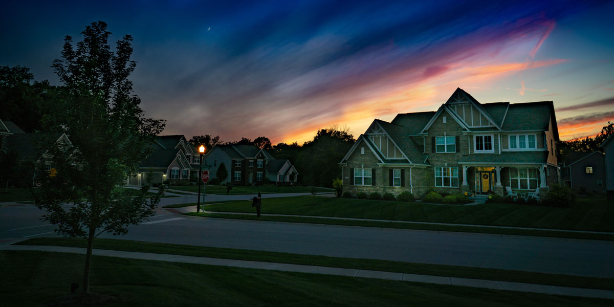 A suburban neighborhood at sunset with a young tree in the foreground