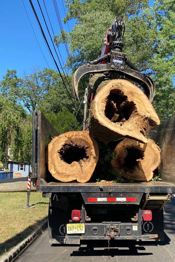 Alpine-loading-log-truck