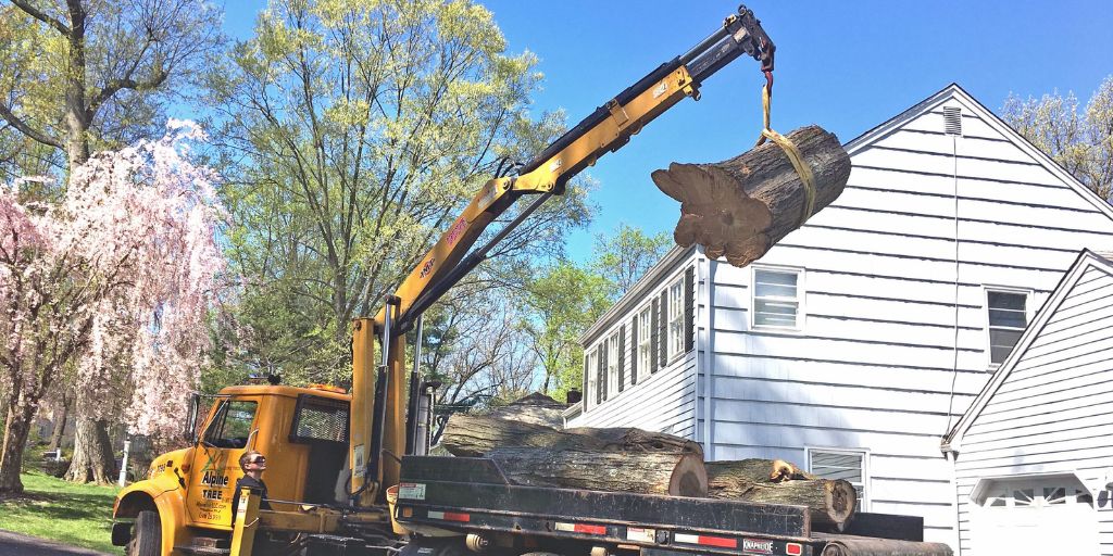 An Alpine Tree crane removes a large section of a tree on a Mendham or Chatham, New Jersey property﻿