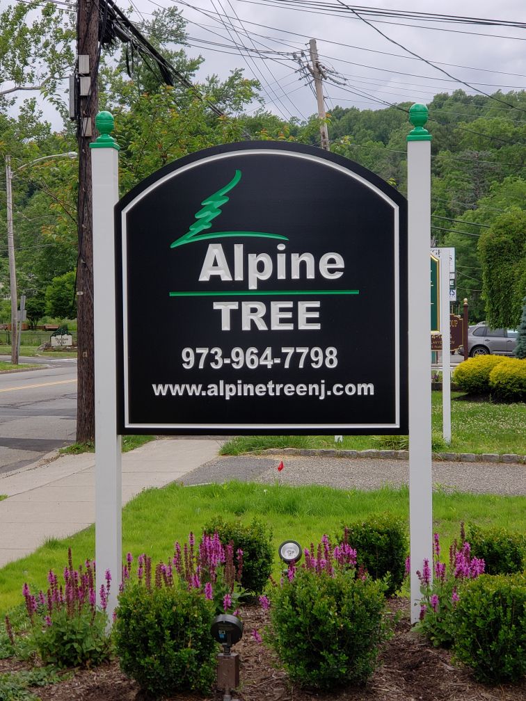 Sign outside the Alpine Tree office in Morristown, NJ.