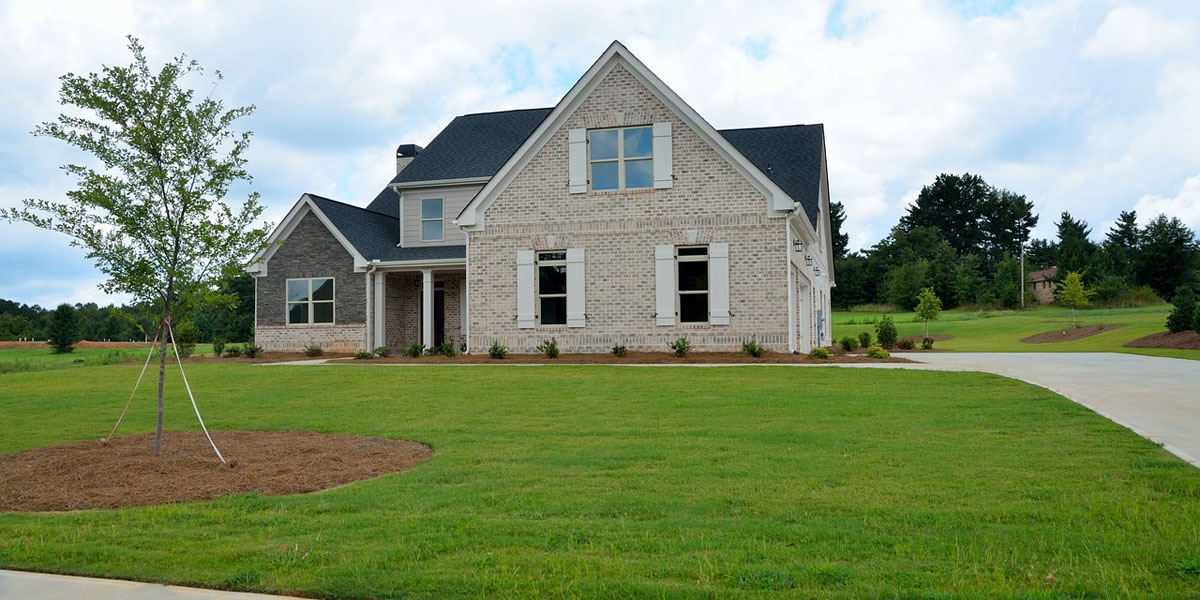 A young, newly planted tree in front of a new home