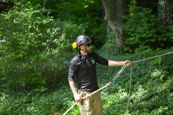 Alpine-website-lsp-madison-section-arborist-rope