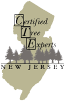 NJCTE-Logo-200