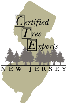 NJCTE-Logo