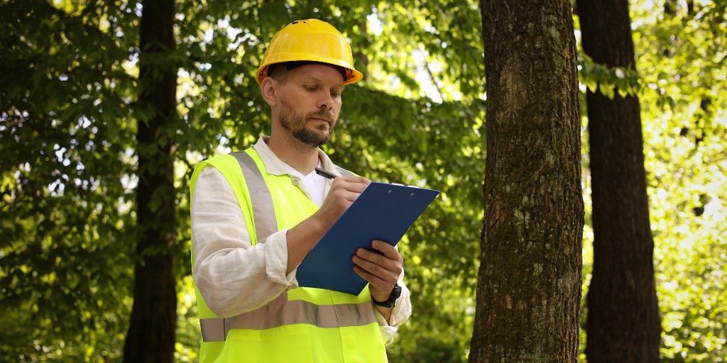 An arborist in a hard hat and high-visibility vest making notes on a clipboard while inspecting trees.