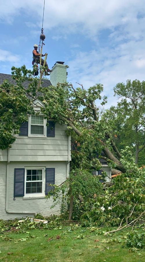 website-alpine-storm-section-crane-man
