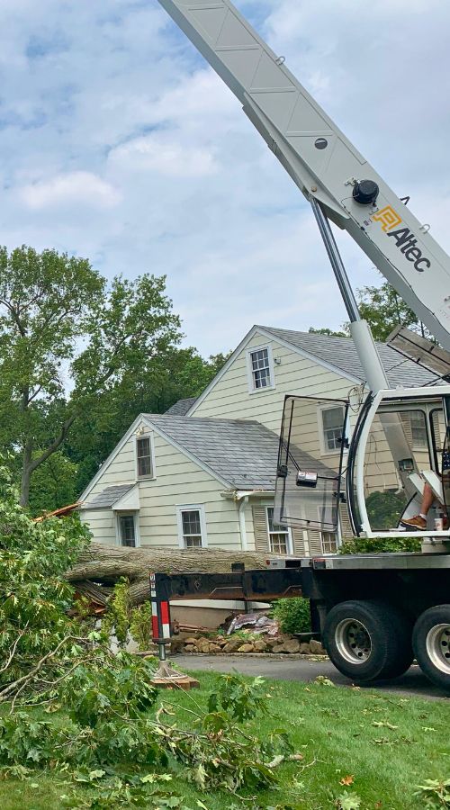 website-alpine-storm-section-crane